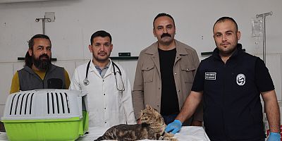 BÜYÜKŞEHİR EKİPLERİ KEDİYİ BULMAK İÇİN TEYAKKUZA GEÇTİ