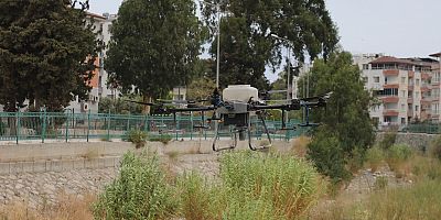 HBB, DEFNE’DE HAŞEREYLE MÜCADELE EDİYOR