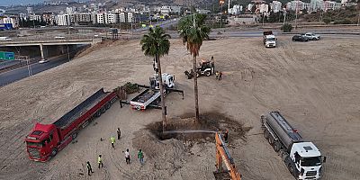 HBB’DEN AĞAÇLARA YENİ YAŞAM ALANI