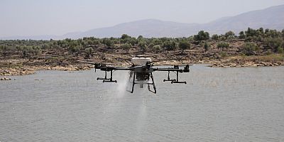 HBB’DEN SİNEK VE HAŞEREYE GEÇİT YOK