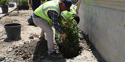 HBB, HATAY’I YEŞİLİN HER TONUYLA BULUŞTURUYOR